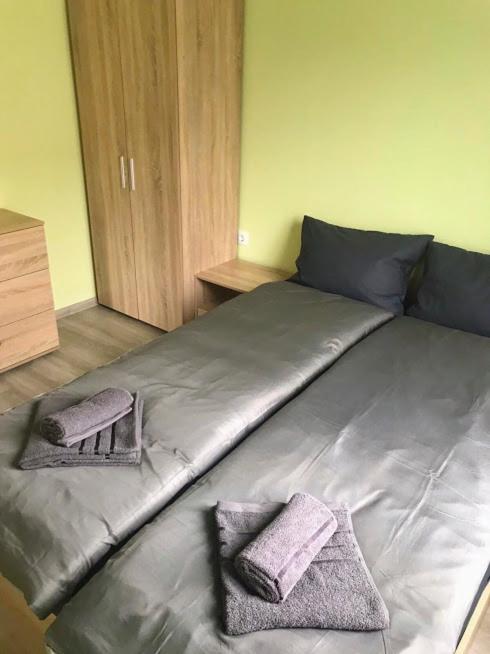Къщи За Гости Михайлови Saparewa Banja Exterior foto